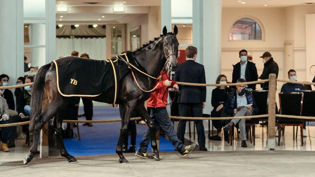 Step By Step: the Group-placed son of Sidestep made €320,000 to Emmanuel de Seroux