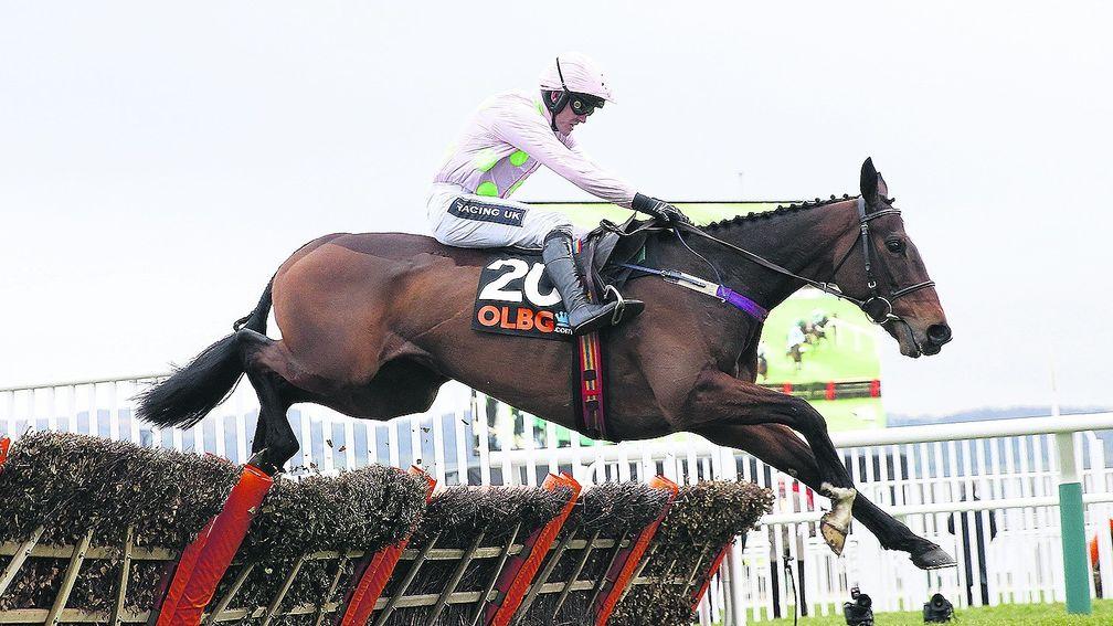 Vroum Vroum Mag: bidding to capture the Punchestown Champion Hurdle for the second year running