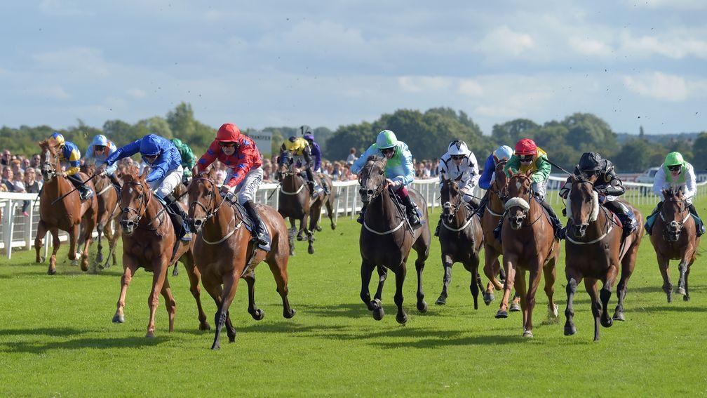 Intisaab (cheekpieces, right) finishes second in the 2016 Great St Wilfrid Handicap at Ripon