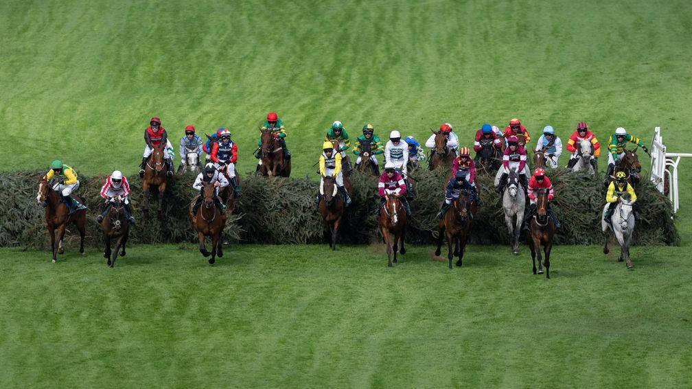 How did this year's Grand National play out?