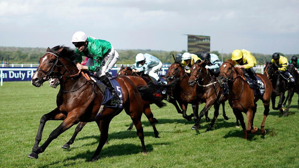 Shergar Cup: the team competition takes place at Ascot on Saturday