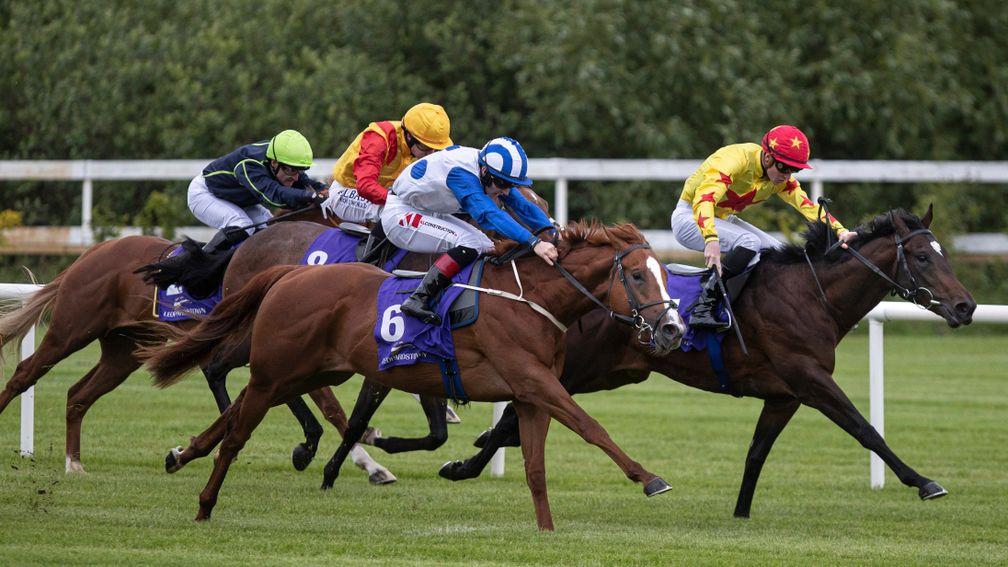 Justifier (outside) created a good impression when winning at Leopardstown on debut