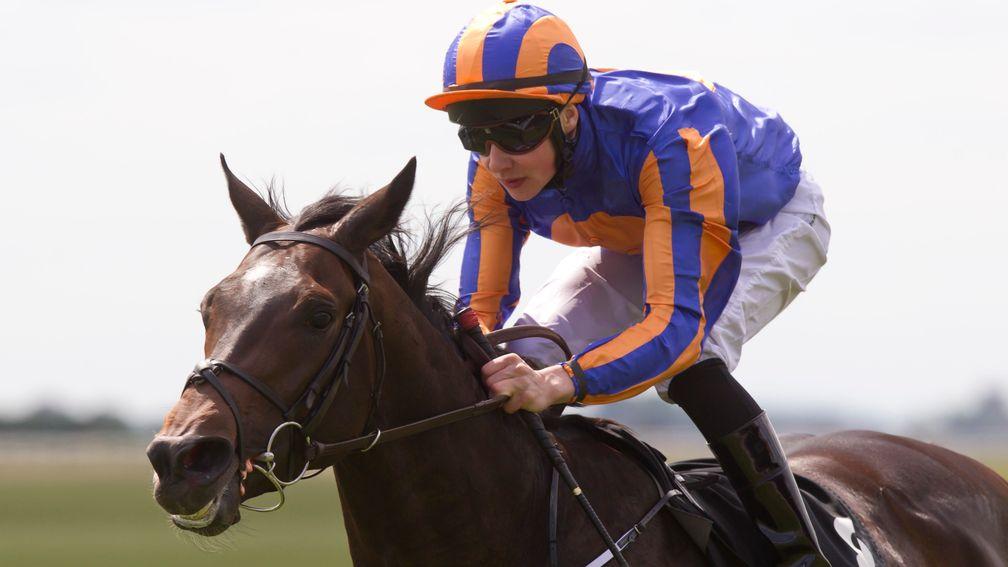 Magician: the Irish 2,000 Guineas was one of two top-level victories for the son of Galileo
