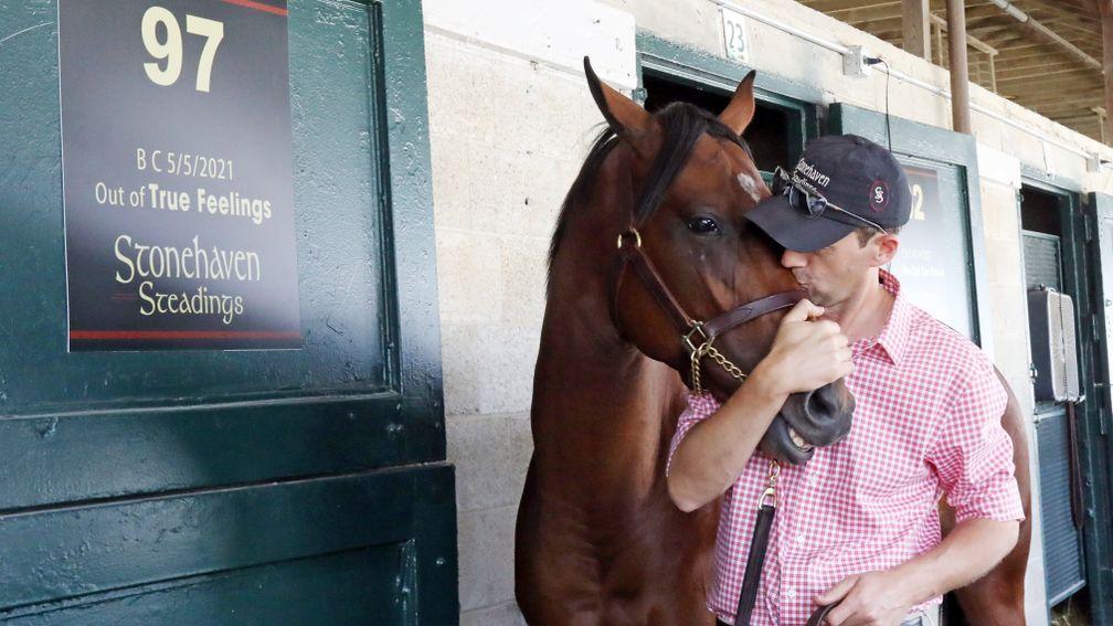 The Quality Road colt who topped the first day of the Keeneland September Yearling Sale