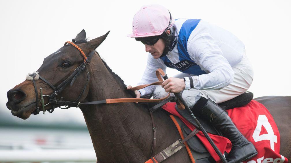 Waiting Patiently: is a potential runner at the Dublin Racing Festival at Leopardstown