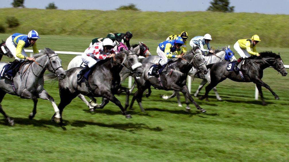 Grey Horse Handicap: staged at Newmarket on Saturday