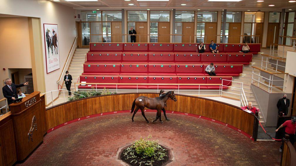 The Goffs UK ring will host a total of 64 supplementary entries among its HIT/PTP sale on Wednesday and Thursday