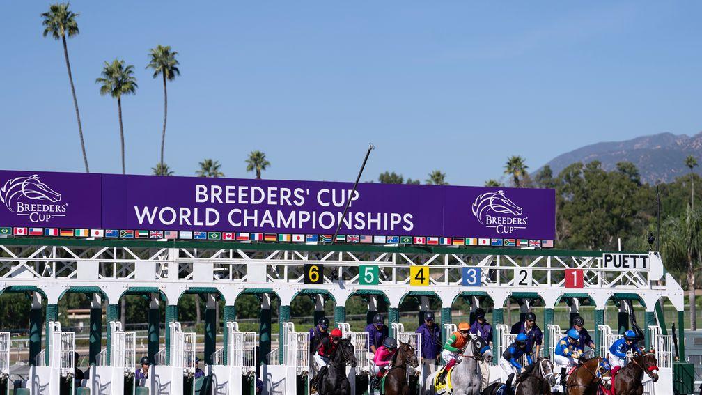 The 2023 Breeders' Cup kicked off at Santa Anita on Friday evening