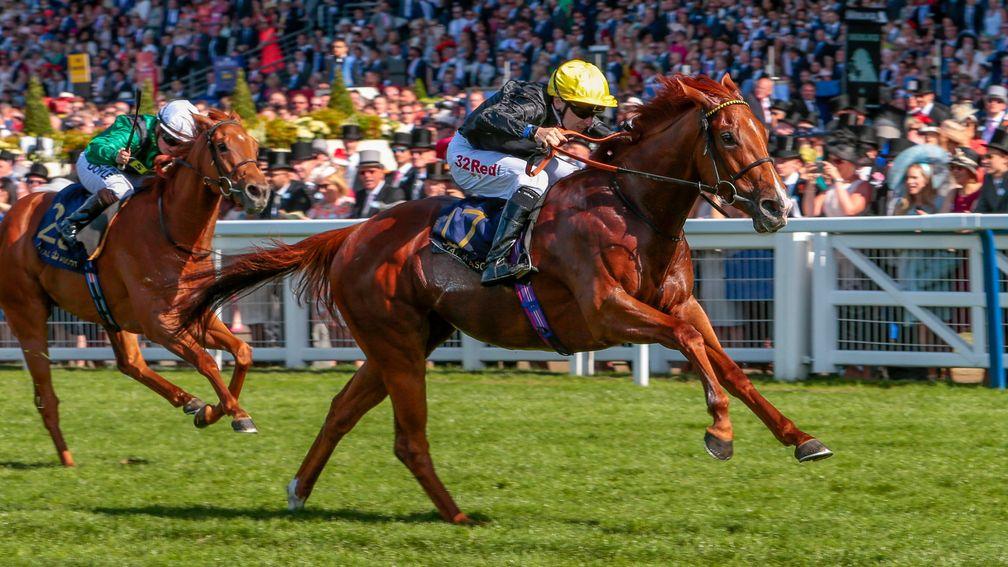 Royal Ascot winner Agrotera is a high-profile addition to Bjorn Nielsen's group of broodmares