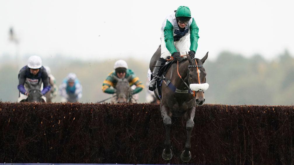 Vinndication: no Gold Cup for the lightly raced gelding at Cheltenham