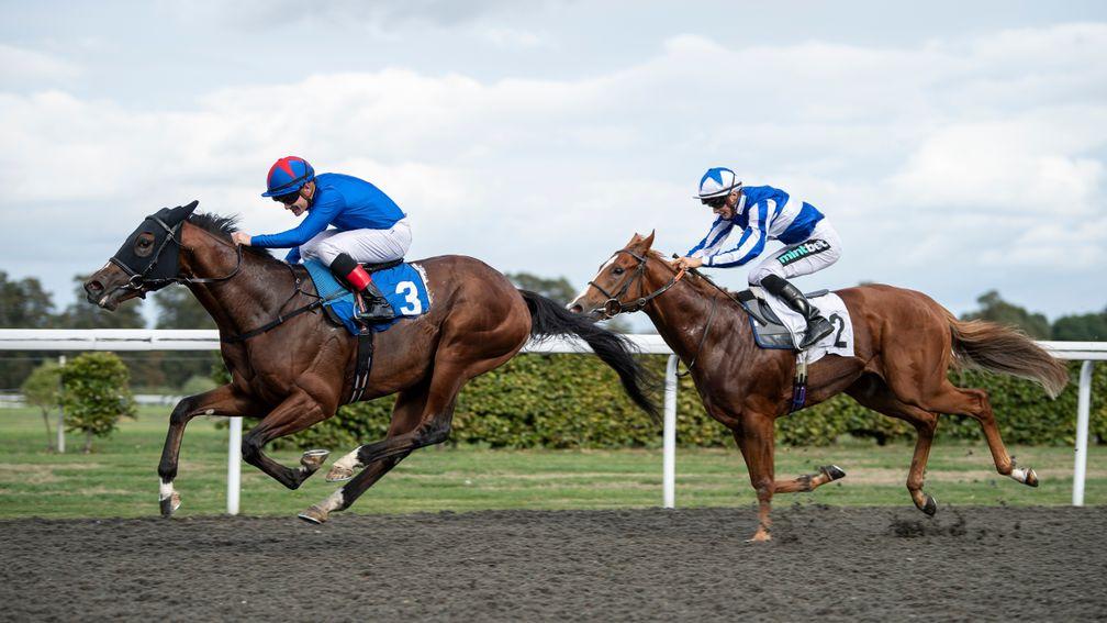 Junius Brutus chases home Kessaar in the Group 3 Sirenia Stakes at Kempton earlier this month