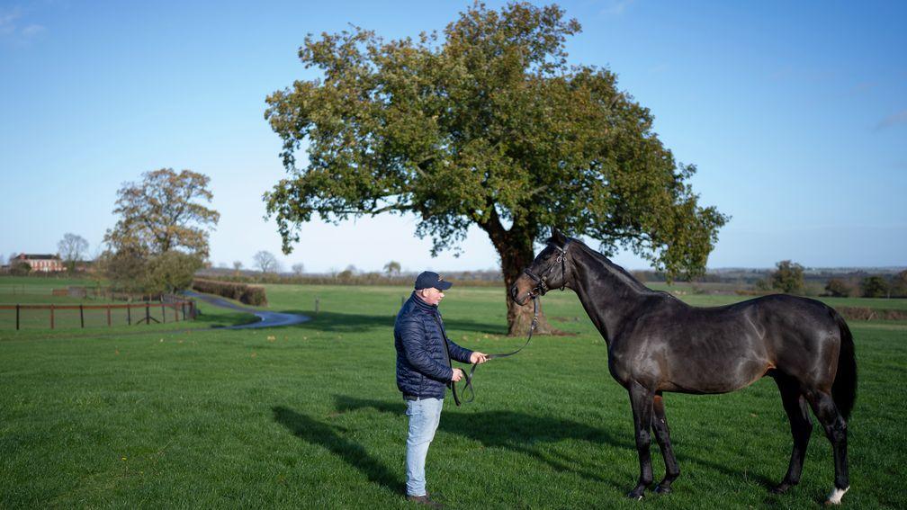 Dink with stallion manager Oli Russell at Alne Park Stud