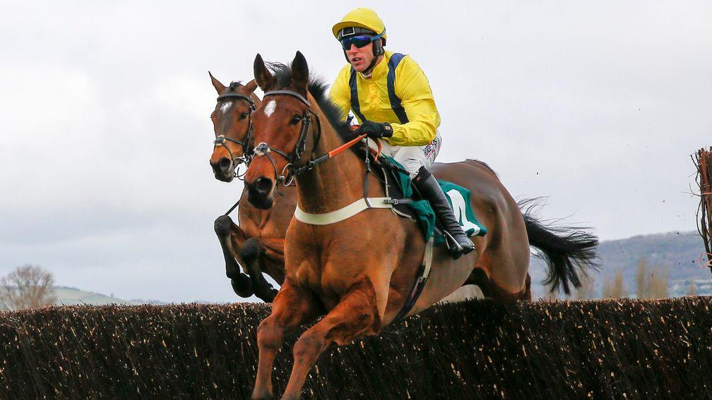 Lostintranslation: a Gold Cup horse next year?