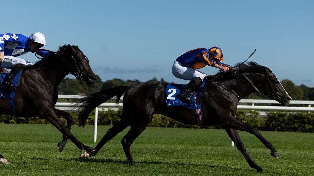 Aidan O'Brien on Auguste Rodin: 'He has plenty of class and quality, and probably will sharpen up a lot from today'