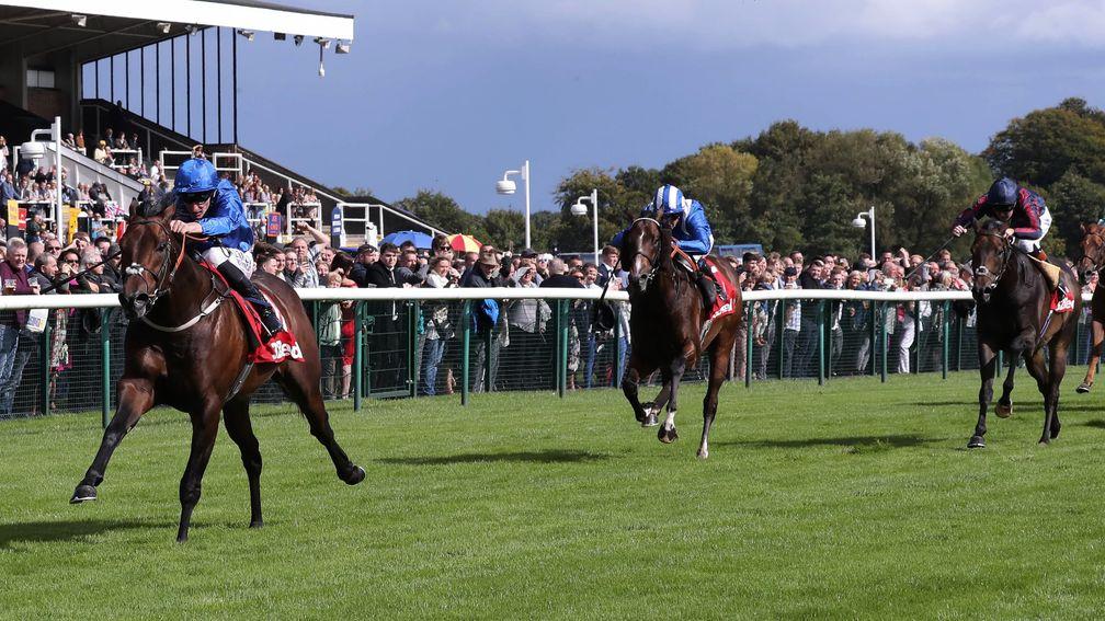 League of his own: Harry Angel proves far too good as he motors clear to win the Sprint Cup
