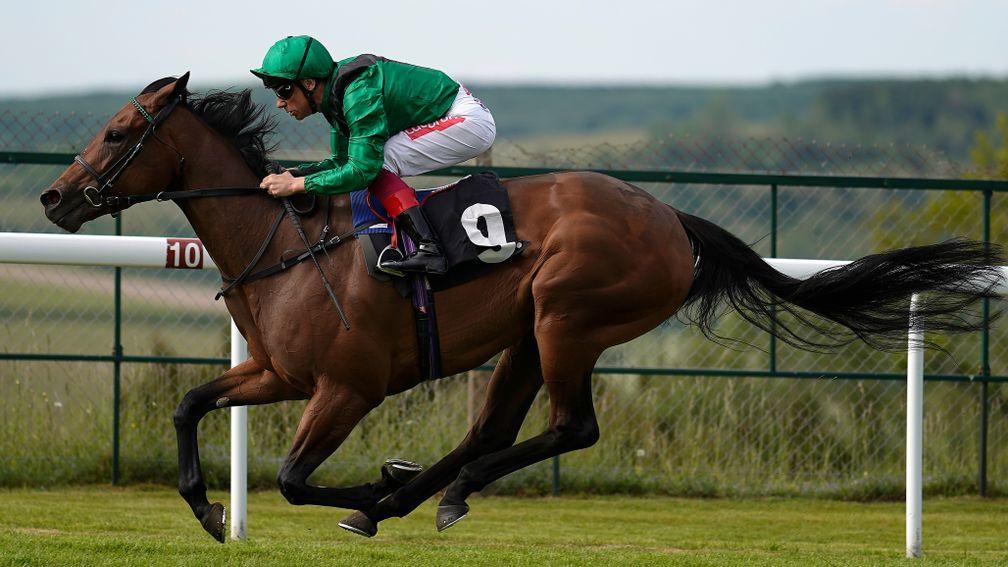 Terebellum: comfortably won a maiden at Goodwood last month