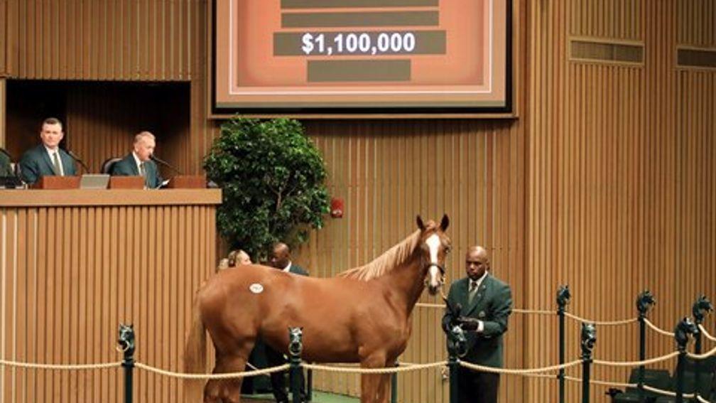 This filly by Gun Runner out of Just Wicked, originally sold for $1.1m, was among those reoffered