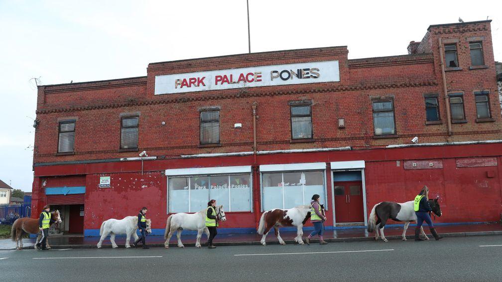 Park Palace Ponies in Liverpool is one of many organisations under pressure