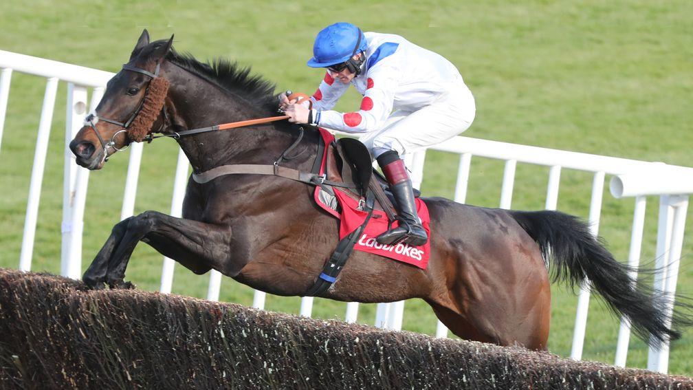 Punchestown Wed 28 April 2021Clan des Obeaux ridden by Sam Twiston-Davies jumping the last fence to win The Ladbrokes Punchestown Gold CupPhoto.carolinenorris.ie