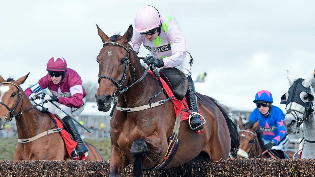 Djakadam: bids to give Willie Mullins a first win in the Grand Steeple-Chase de Paris