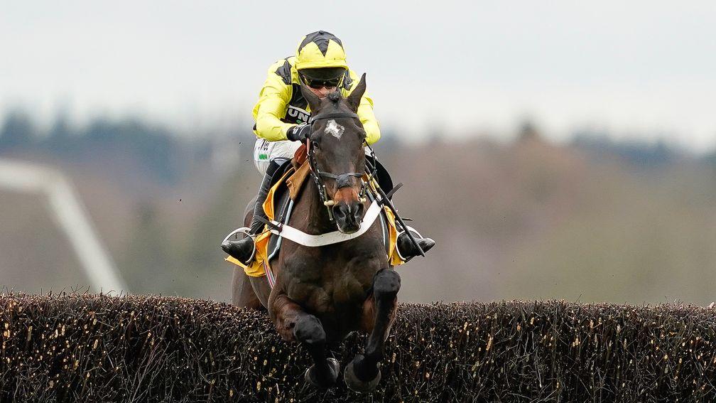 Out on his own: Shishkin sails clear of his rivals in the Betfair Ascot Chase