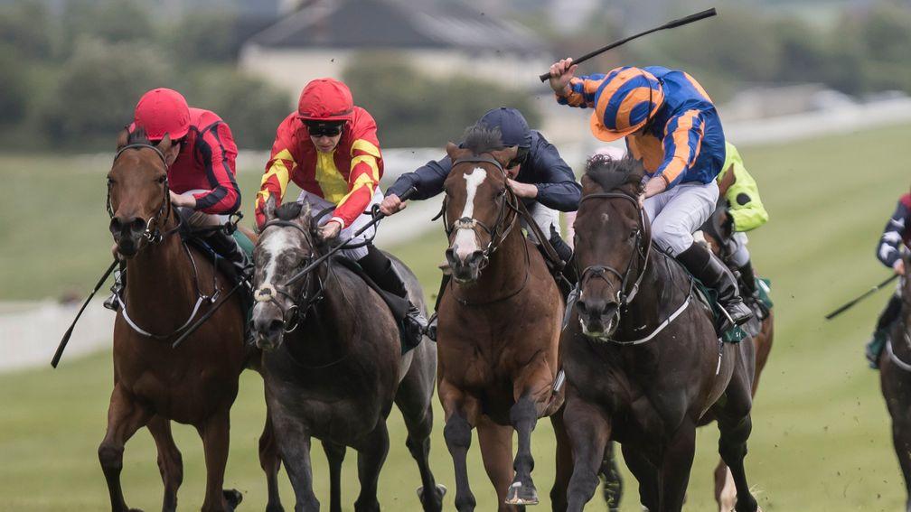 Stablemates Now You're Talking (furthest left) and Speak In Colours (red and yellow) chasing home Sioux Nation (furthest right) and July Cup third Fleet Review in Naas' Lacken Stakes