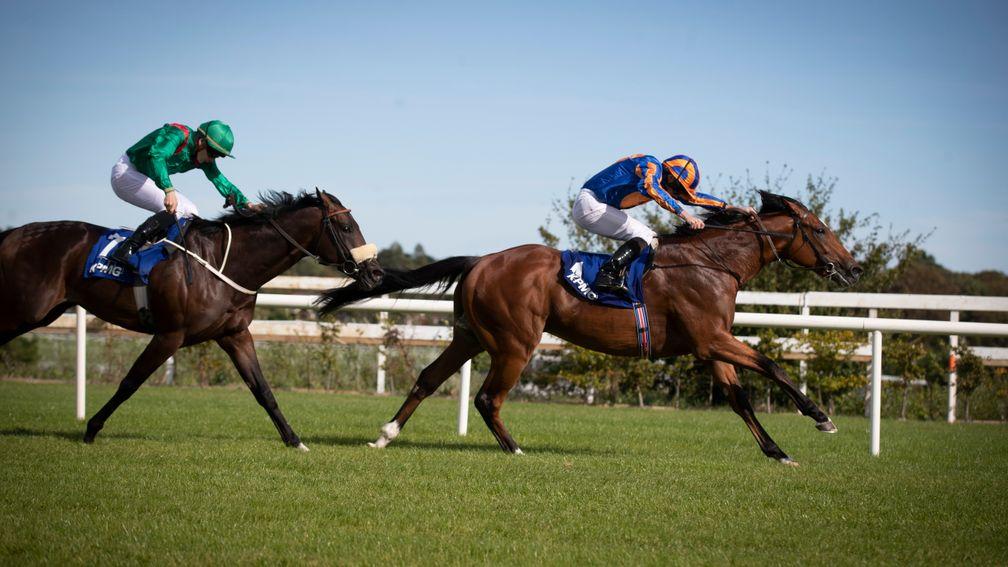 Mogul wins the Group 2 KPMG Champions Juvenile Stakes at Leopardstown in September