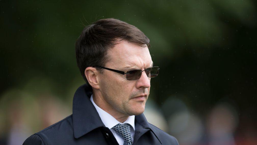 Aidan O'Brien: likely to give Saxon Warrior a racecourse gallop before deciding on Newmarket challenge