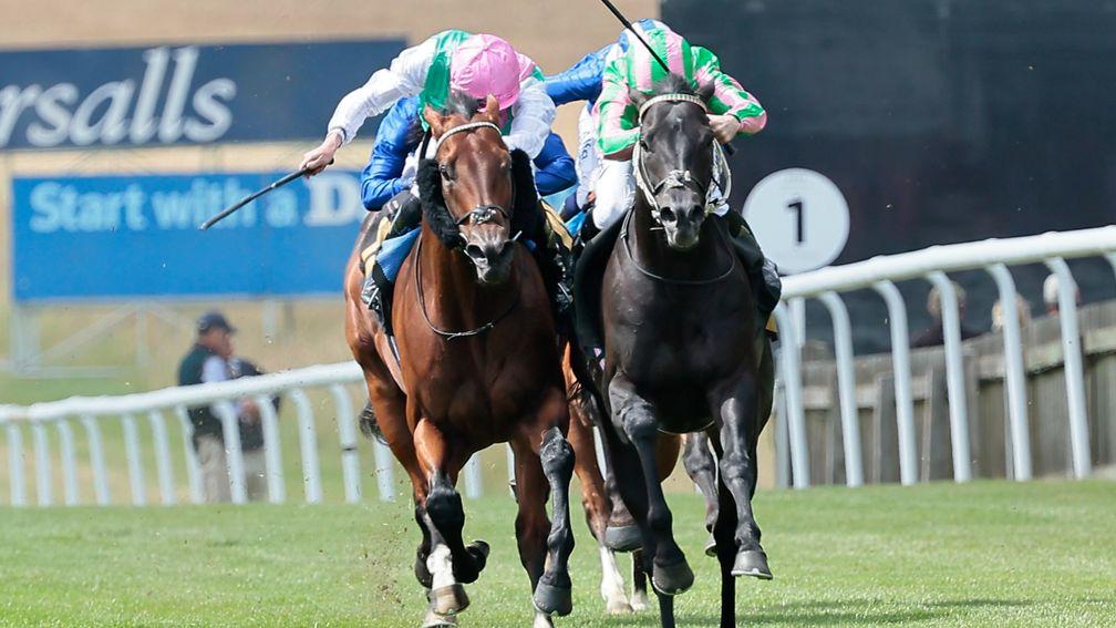 Pogo (right) battles to victory over Sunray Major in the Criterion Stakes