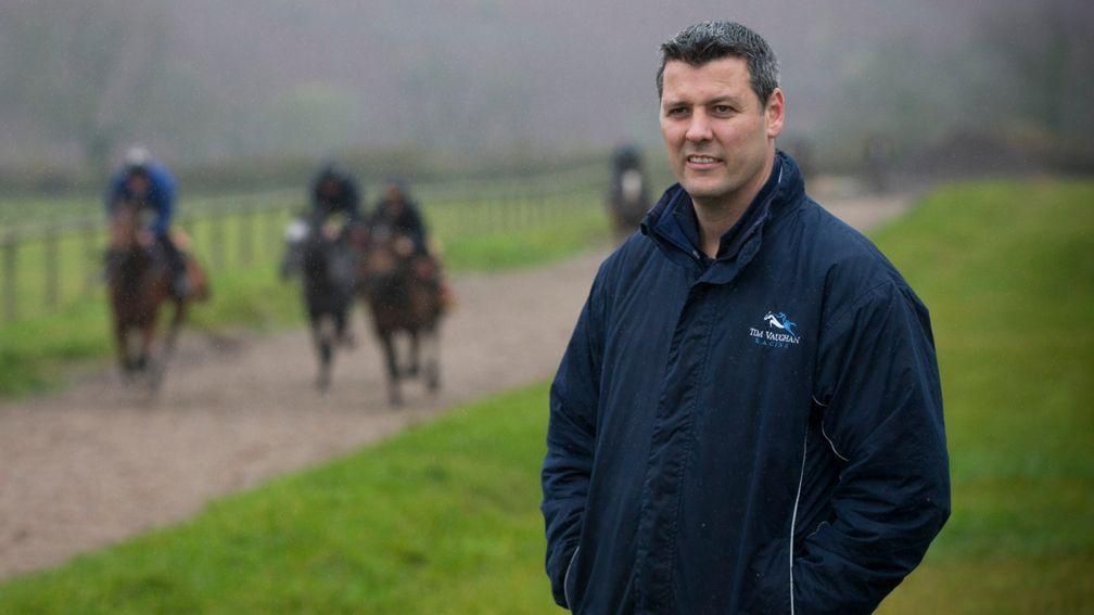 Tim Vaughan: will have his horses ready to go for the start of autumn