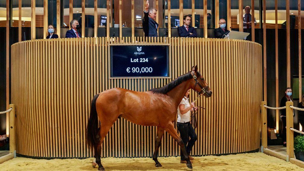 The Authorized gelding Dollar Nolimit will head to Stuart Crawford for owners Simon Munir and Isaac Souede after being bought by Anthony Bromley at Arqana on Wednesday
