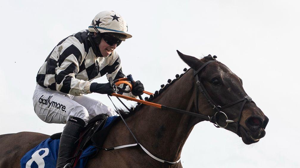 Velvet Elvis: one of the leading players in the Bar One Racing Troytown Handicap Chase
