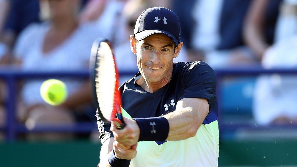 Andy Murray: parallels with AP McCoy in their drive to win