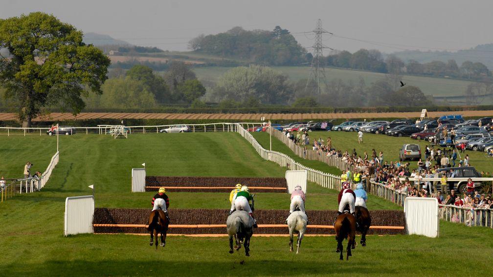 Heading down the home straight at Chaddesley Corbett point-to-point course