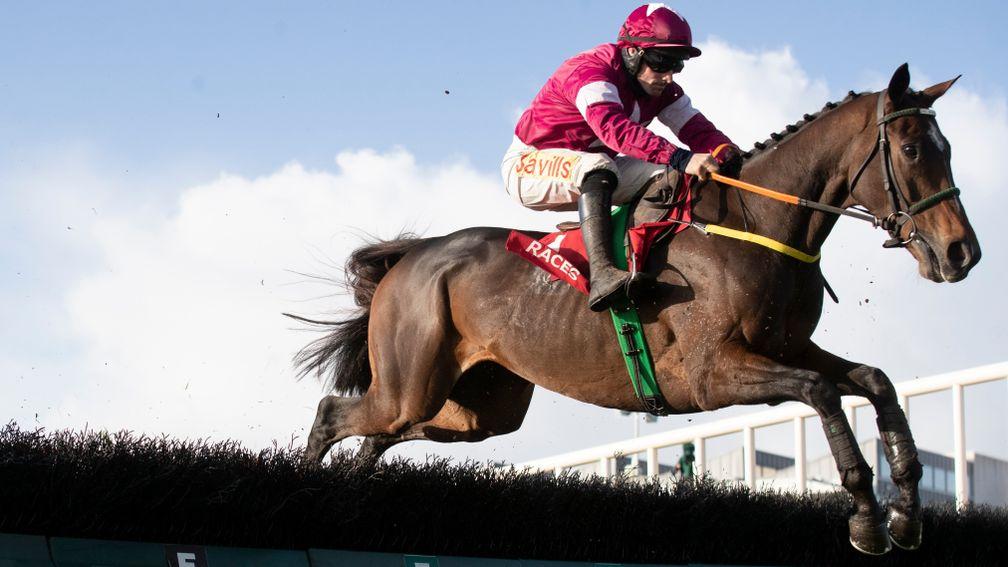 Beacon Edge: could have the speed to land the Stayers Hurdle at Aintree