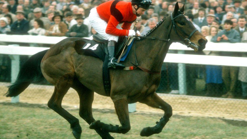Dawn Run and Jonjo O'Neill: captured the Champion Hurdle and Gold Cup