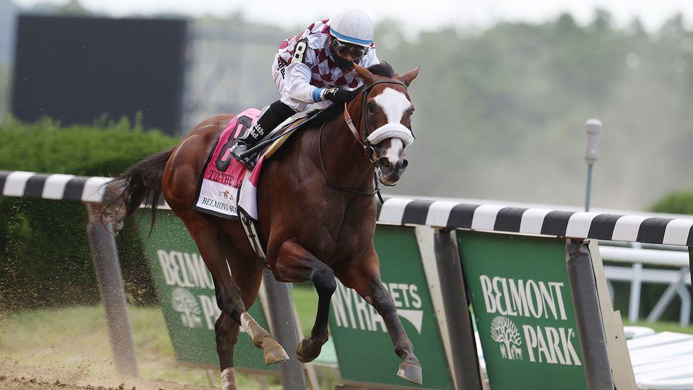 Tiz The Law: won the Belmont Stakes back in June, which this year was the first leg of the US Triple Crown