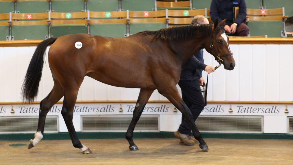 Lot 374: the Galileo filly out of Prize Exhibit in the Park Paddocks sales ring