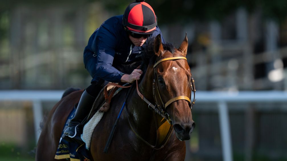 Japanese star Satono Reve (ridden by Ryan Moore) is gearing up for the Queen Elizabeth II Jubilee Stakes