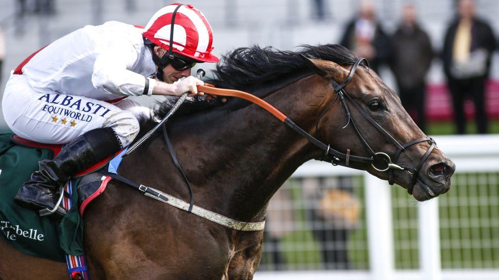 Invincible Army: started his season with a bang in the Pavilion Stakes