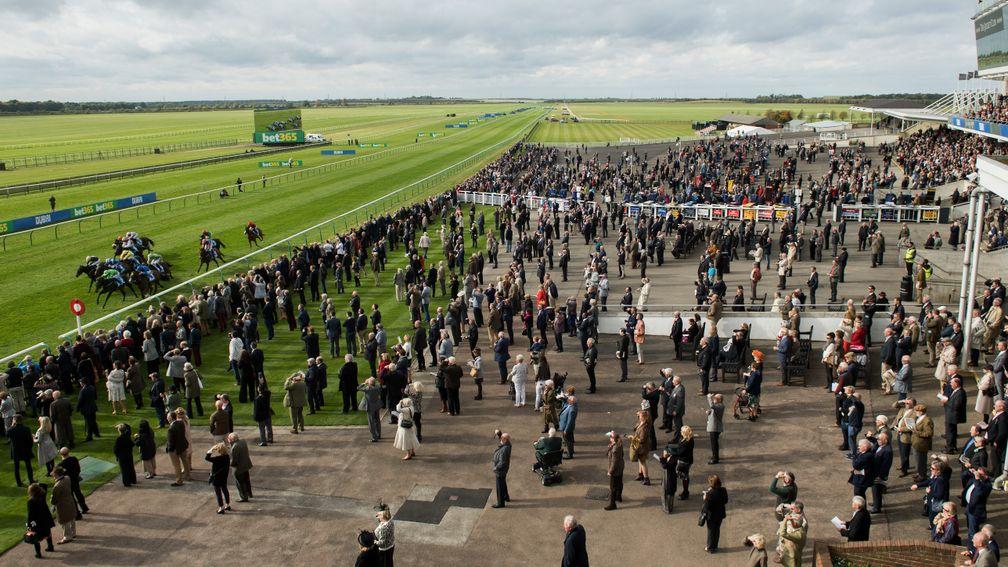 Racing returns on the Rowley Mile on Tuesday
