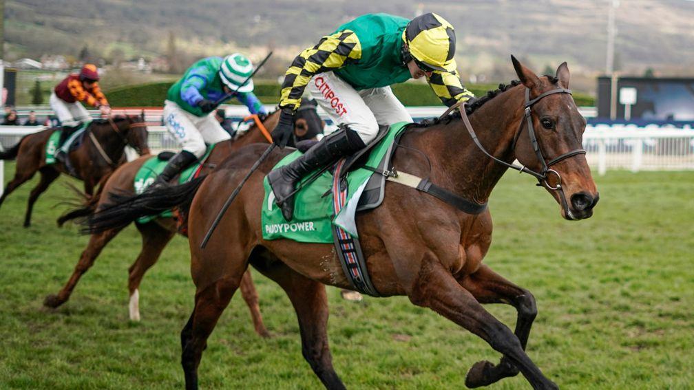 Lisnagar Oscar powers to the line to win the Stayers' Hurdle