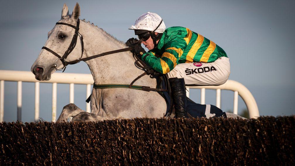 Elimay: favourite for the Mrs Paddy Power Mares' Chase at the Cheltenham Festival