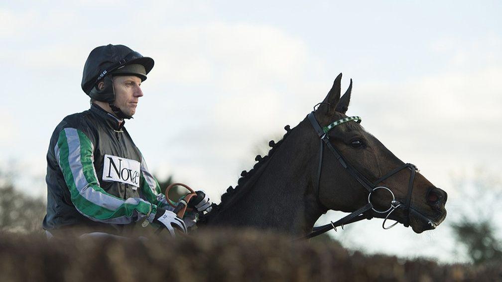 Altior and Noel Fehily at Sandown prior to the Henry VIII Novices' Chase