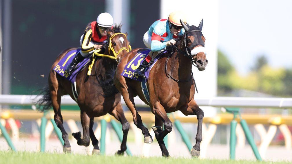 Almond Eye and Christophe Lemaire (right) on their way to the middle leg of the Triple Crown in the Yushun Himba (Japanese Oaks)