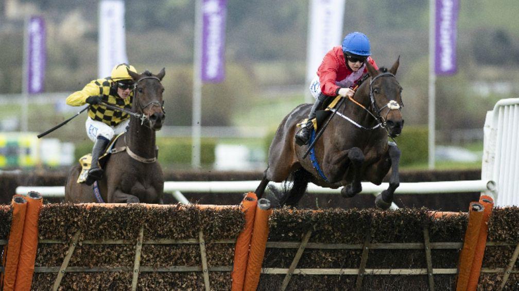 Quilixios (blue cap): will bid to confirm his Cheltenham form with the unexposed Haut En Couleurs (yellow and black silks)