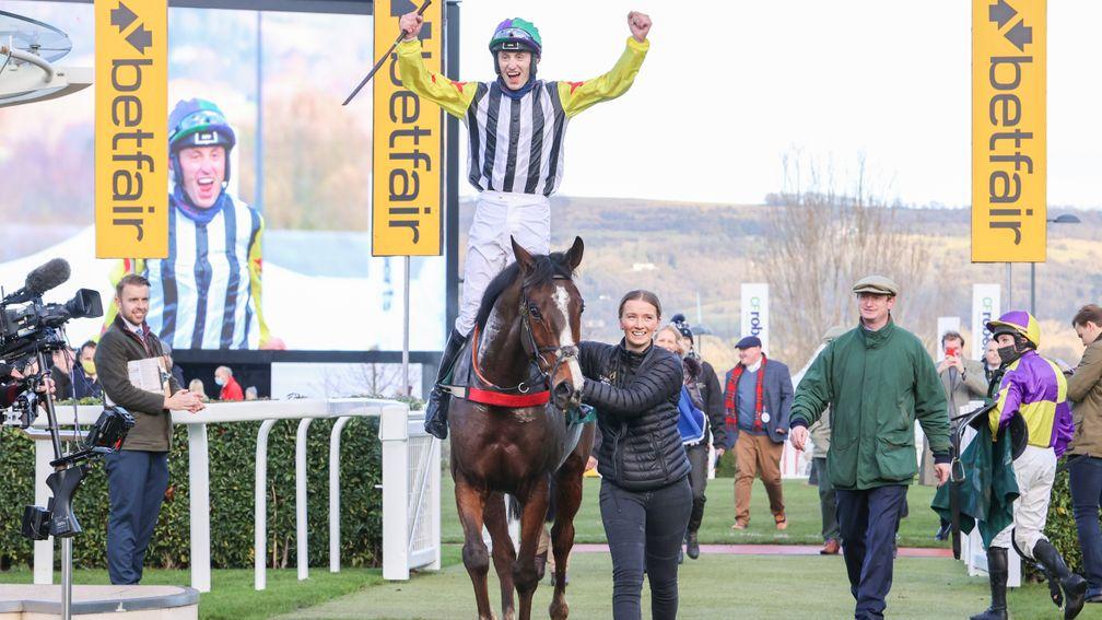 Lively Citizen: could aim to return to the Cheltenham winner's enclosure at the festival