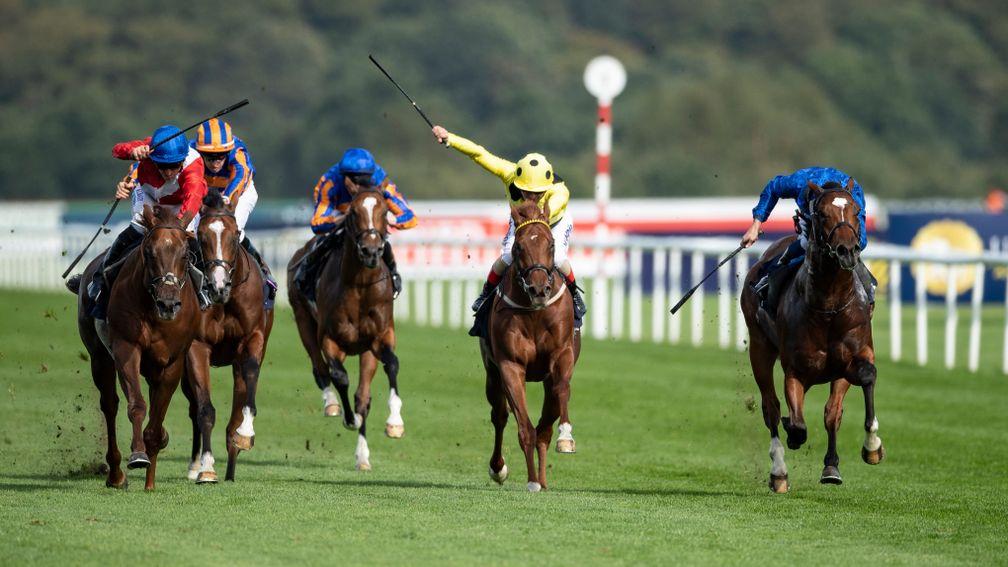 Royal Crusade (right): second to Threat (red silks) in last season's Champagne Stakes at Doncaster