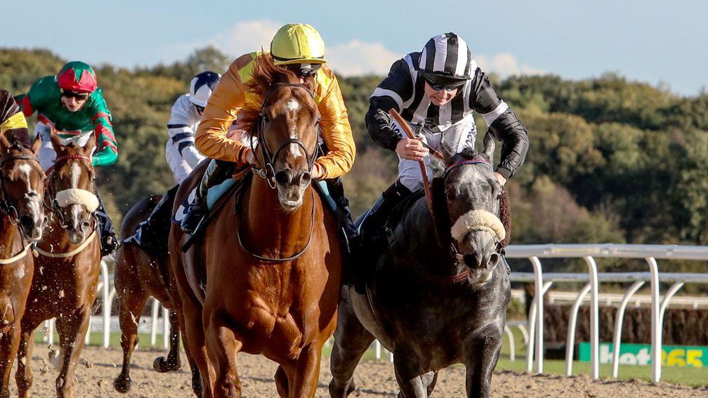 Spanish City (left): travels to Ascot for the Gigaset International in top shape