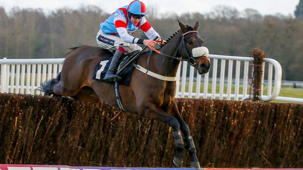 Maresco Sorrento also features in the pedigree of leading Racing Post Arkle fancy Saint Calvados
